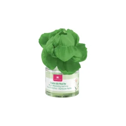 Ambientador perfumado dama da noite com flor 40ml