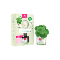 Ambientador perfumado dama da noite com flor 40ml