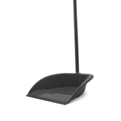 Apanhador lixo com cabo cinza