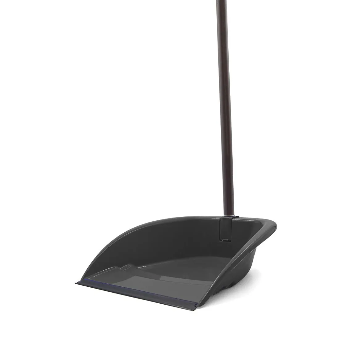 Apanhador lixo com cabo cinza