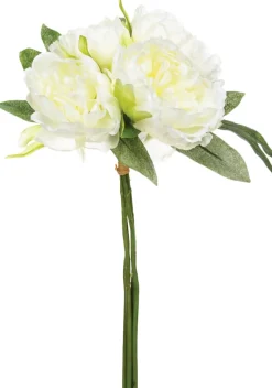 Bouquet com 4 peónias brancas
