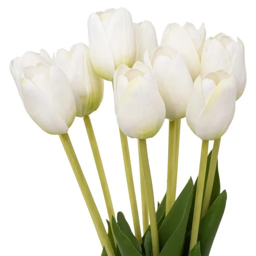 Bouquet com 10 tulipas brancas 48cm