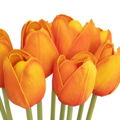 Bouquet com 10 tulipas laranja 48cm