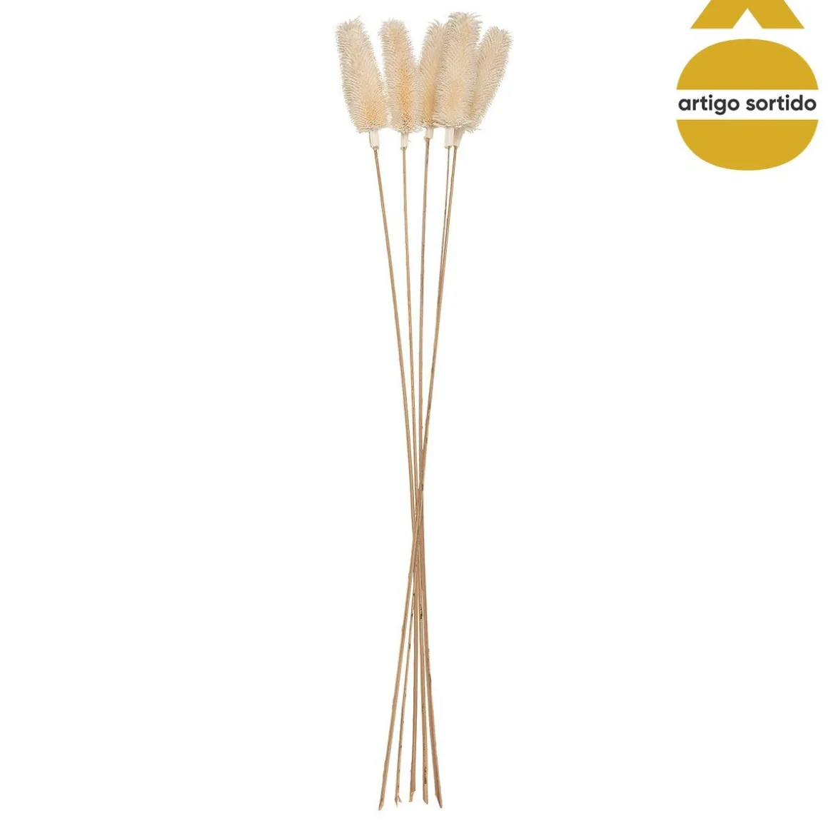 Bouquet de flores secas