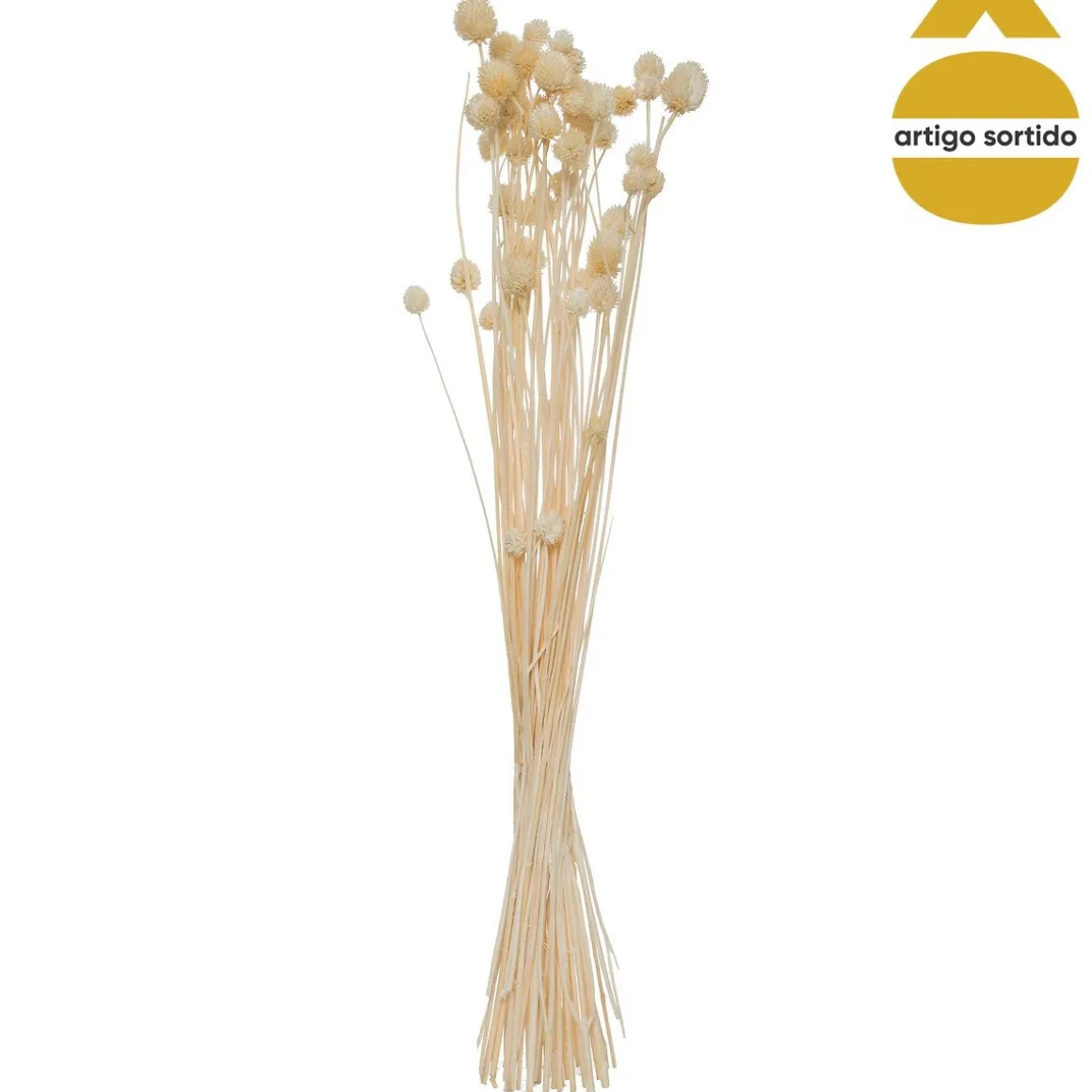 Bouquet de flores secas