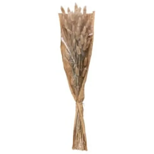Bouquet de flores secas ORI