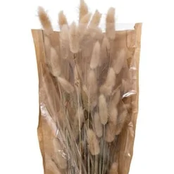 Bouquet de flores secas ORI