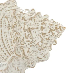 Búzio decorativo Océane em cerâmica 20x10,5x12cm
