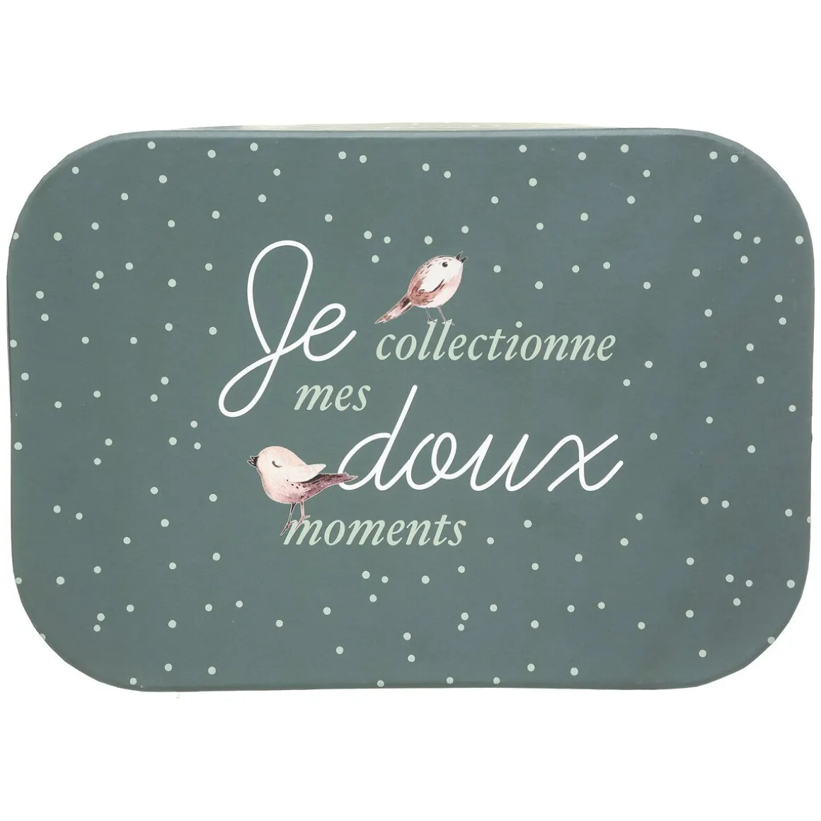 Caixa de arrumação FOREST 16,5x22,8x32,5cm