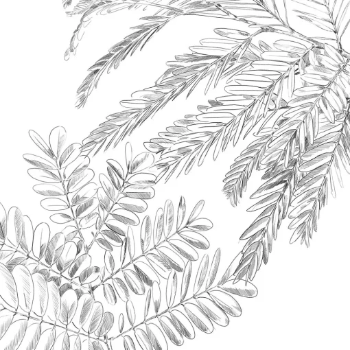 Capa de edredão e 2 capas de almofada monstera 220x240cm