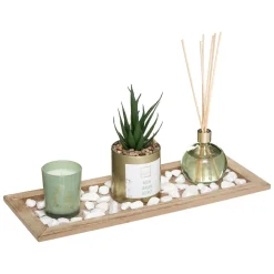 Conjunto aromático jardin verde