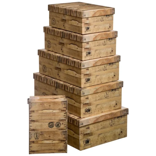 Conjunto de 6 caixas CAGETTE castanhas