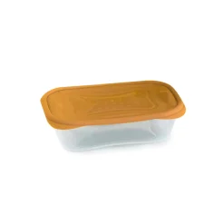 Conjunto de 3 caixas PRACTIFRESH 0,7l