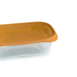 Conjunto de 3 caixas PRACTIFRESH 0,7l