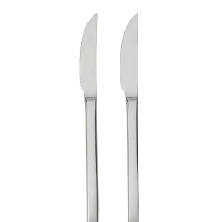 Conjunto de 2 facas de mesa