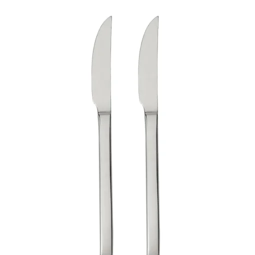 Conjunto de 2 facas de mesa