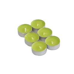 Conjunto de 6 tealights perfumadas de jasmim