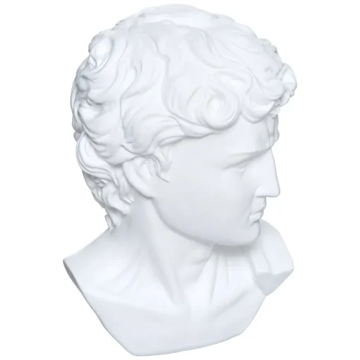 Estátua cabeça de homem DAVID