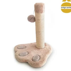Ginásio com arranhador para gato