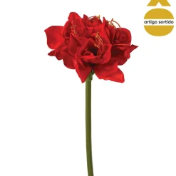 Haste amaryllis 71cm