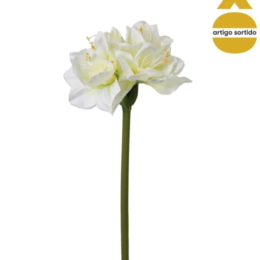 Haste amaryllis 71cm