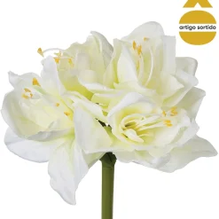 Haste amaryllis 71cm