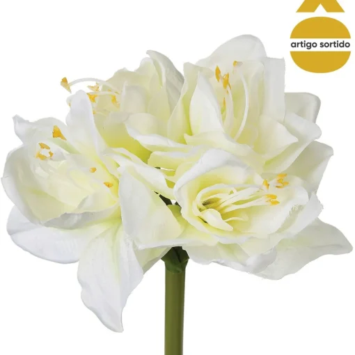 Haste amaryllis 71cm