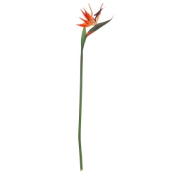 Haste de estrelícia 83cm