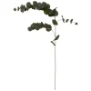 Haste de eucalipto 118cm