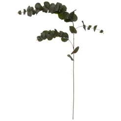 Haste de eucalipto 118cm