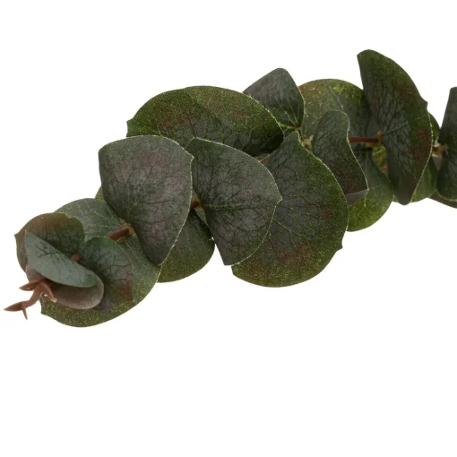 Haste de eucalipto 118cm