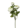 Haste de flor de rainunculo com 3 flores