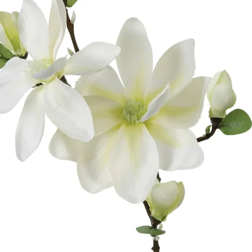 Haste de flor magnólia com 3 botões