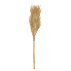 Haste de flor seca bege SEA VIEW 117cm
