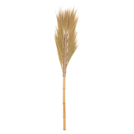 Haste de flor seca bege SEA VIEW 117cm