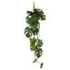 Haste de monstera suspensa verde