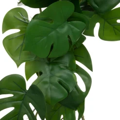 Haste de monstera suspensa verde