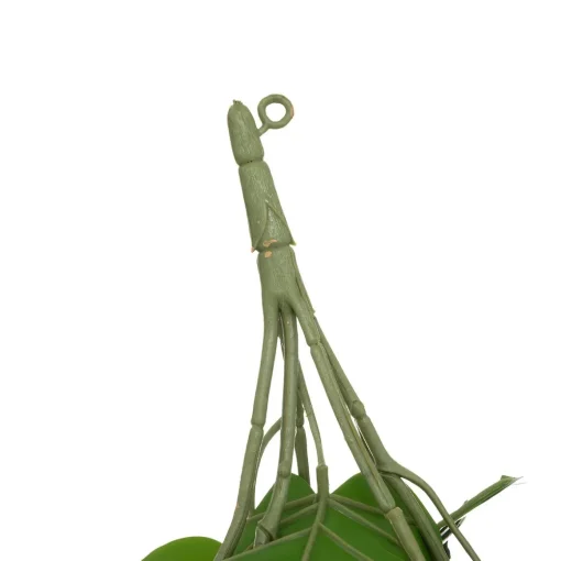 Haste de monstera suspensa verde