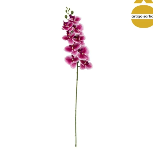 Haste de orquídea com toque natural