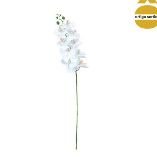 Haste de orquídea com toque natural