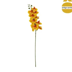 Haste de orquídea com toque natural