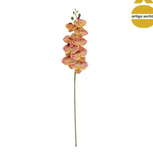 Haste de orquídea com toque natural