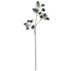 Haste eryngium inverno azul 70cm