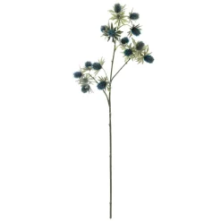 Haste eryngium inverno azul 70cm