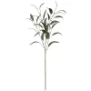 Haste FOLHA de eucalipto verde 90cm