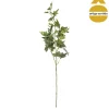 Haste HERA verde 82cm