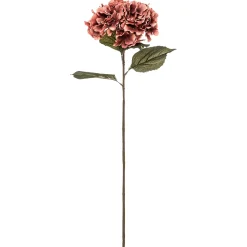 Haste hortênsia ameixa romande gypsy