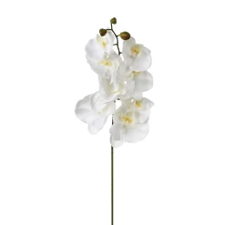 Haste orquídea 108cm