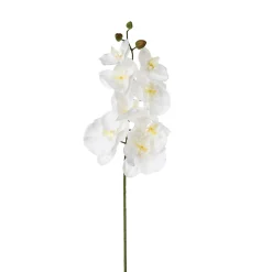 Haste orquídea 108cm
