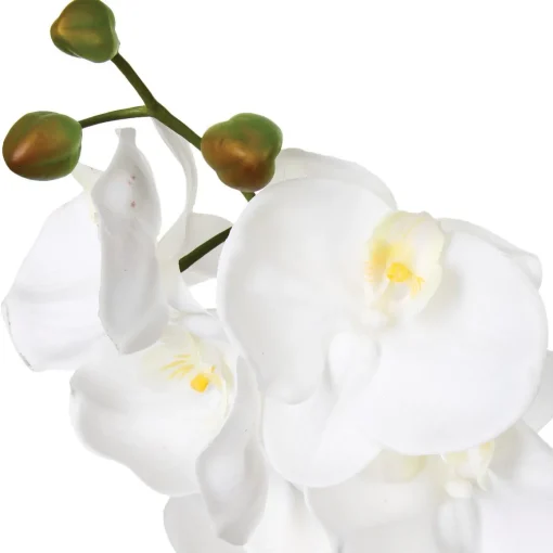 Haste orquídea 108cm